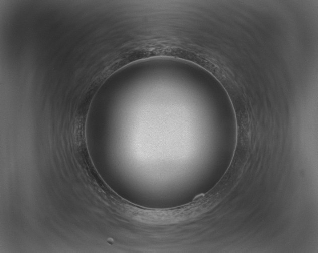 X0000084550034200702231217