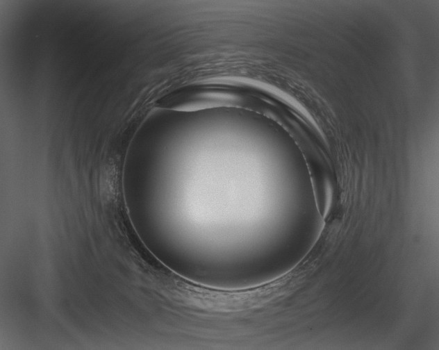 X0000084550035200702231217