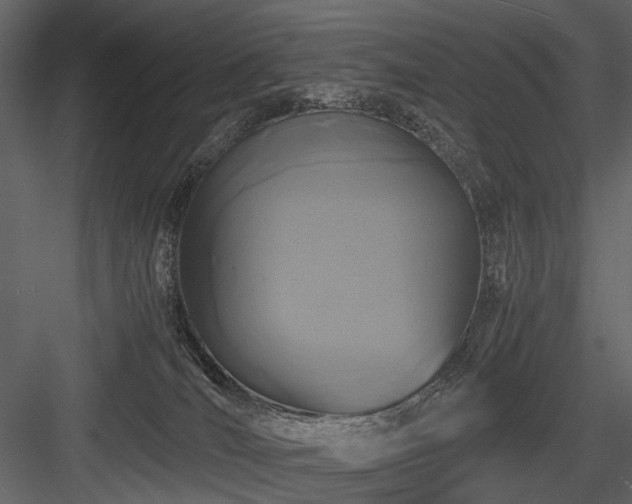 X0000084550036200702231217