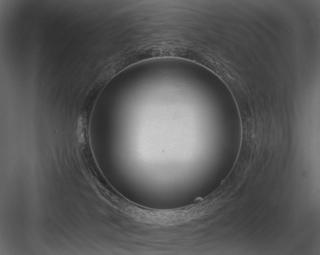 X0000084550038200702231217