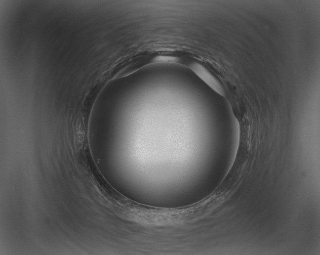 X0000084550040200702231217