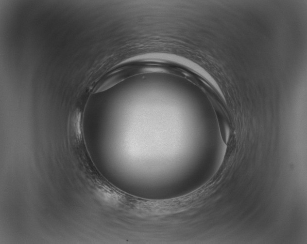 X0000084550041200702231217