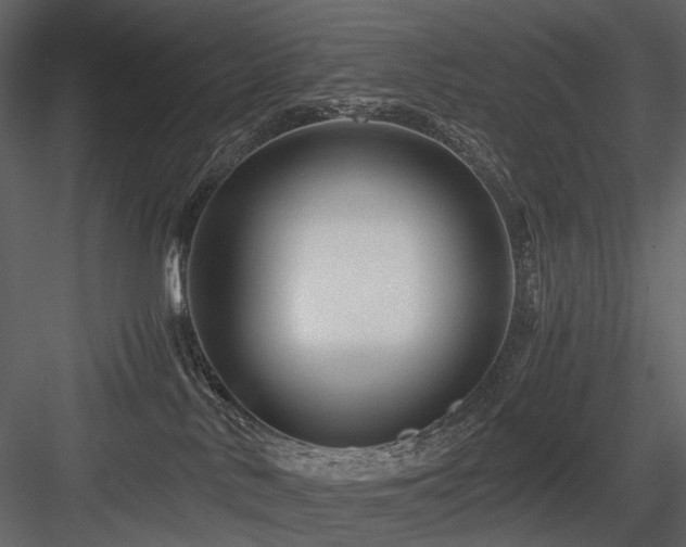 X0000084550042200702231217