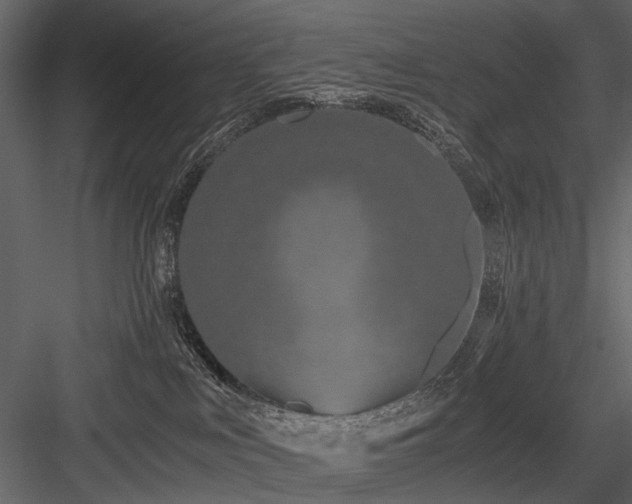 X0000084550043200702231217