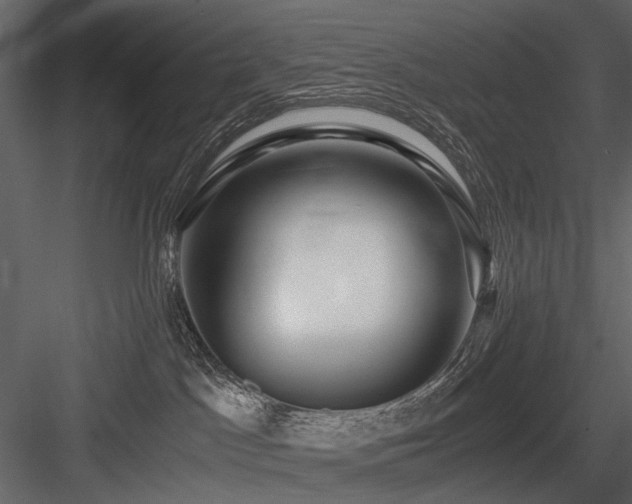 X0000084550045200702231217