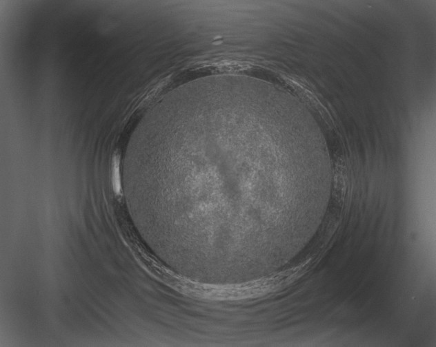 X0000084550046200702231217