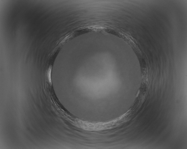 X0000084550047200702231217