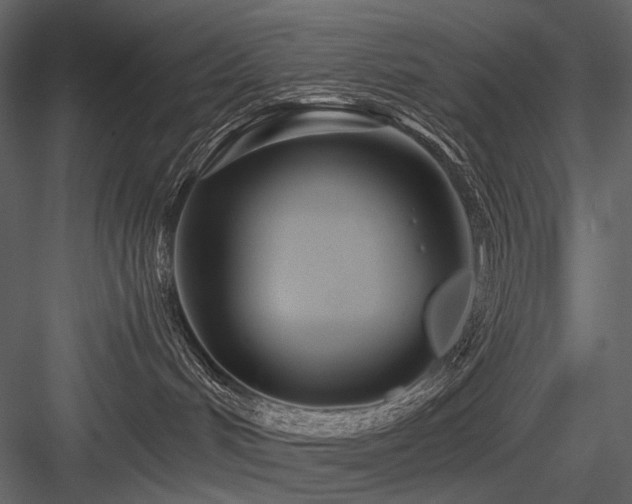 X0000084550048200702231217