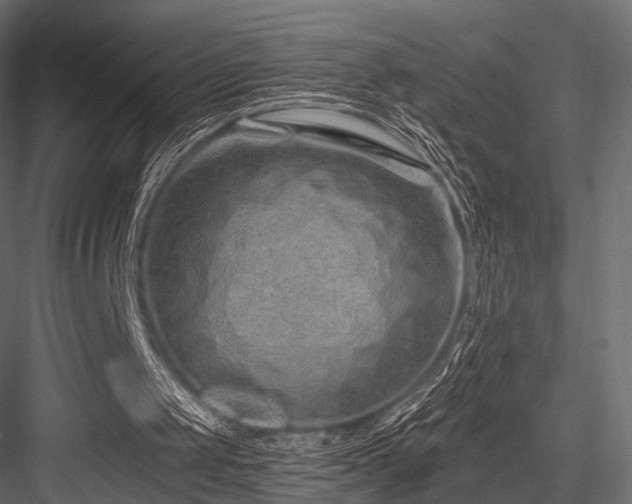 X0000084550049200702231216