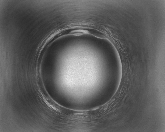 X0000084550050200702231216