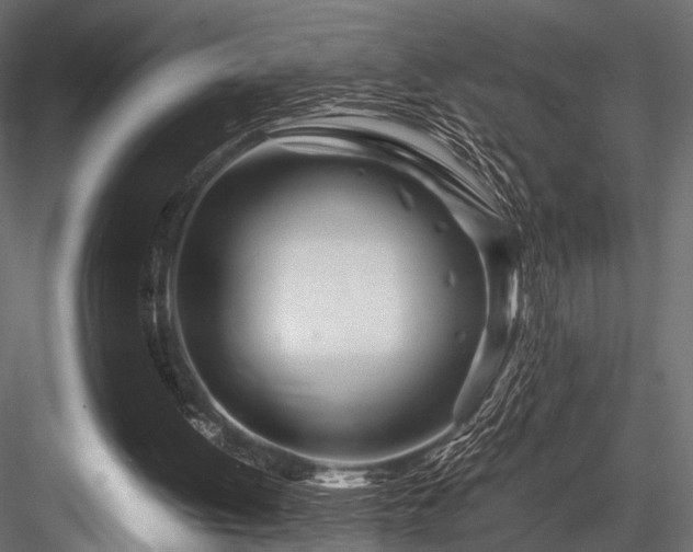 X0000084550052200702231216