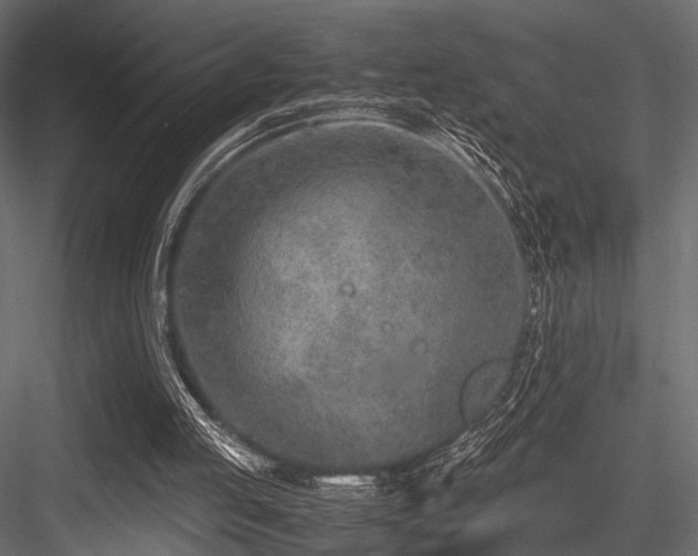 X0000084550053200702231216