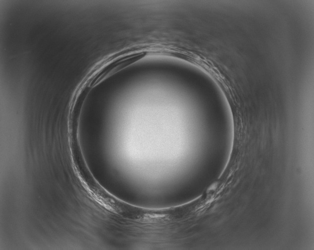 X0000084550055200702231216
