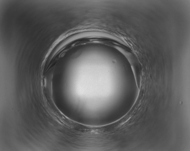 X0000084550056200702231216