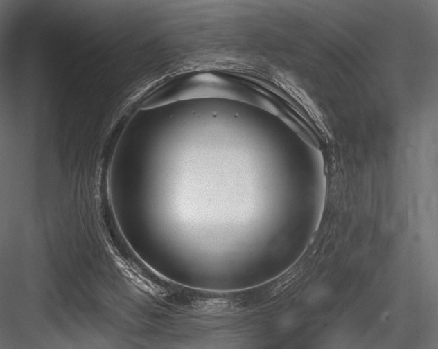 X0000084550058200702231216