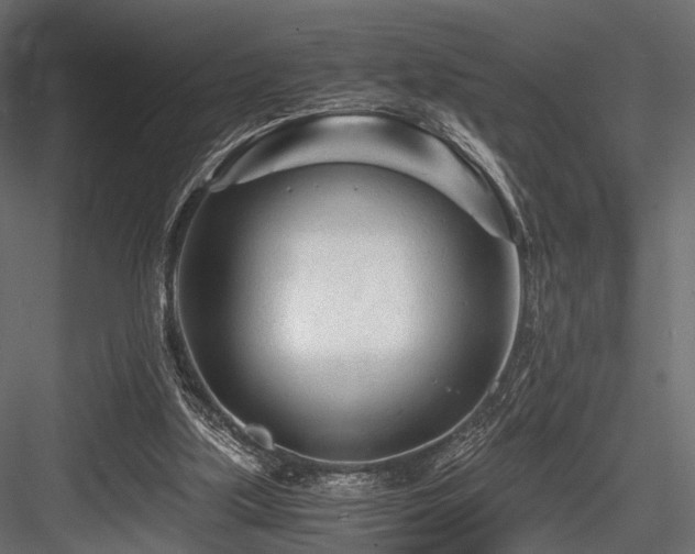 X0000084550059200702231216