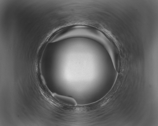 X0000084550060200702231216