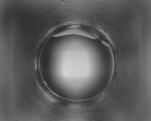 X0000084550062200702231216
