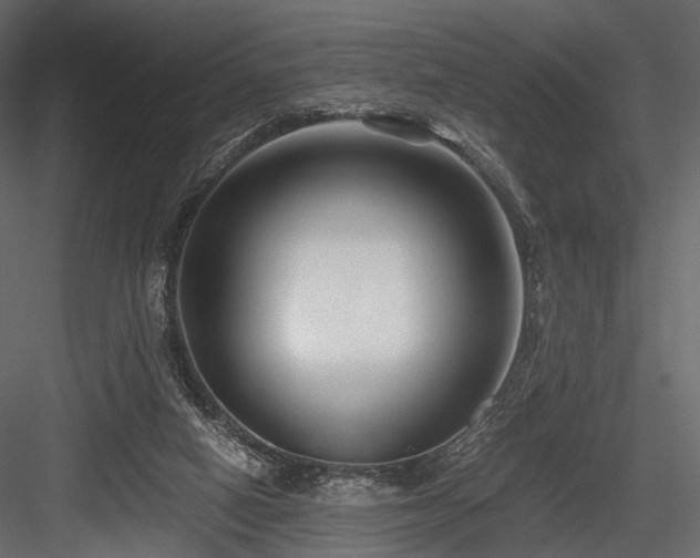 X0000084550066200702231216