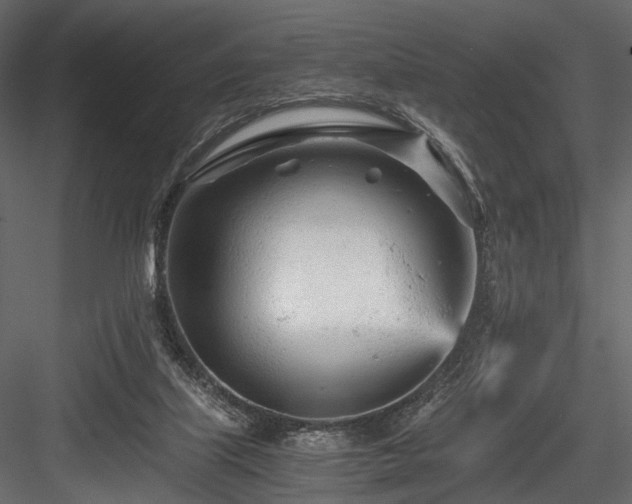 X0000084550067200702231216