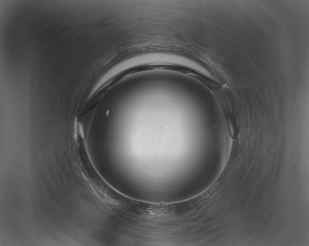 X0000084550070200702231216
