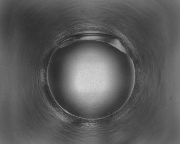 X0000084550071200702231216