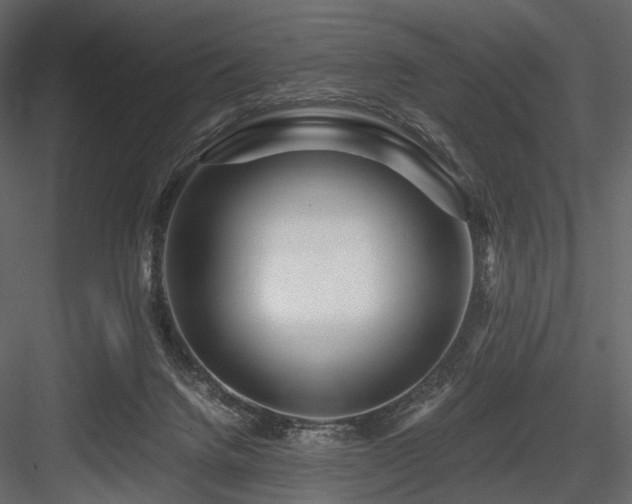 X0000084550072200702231216