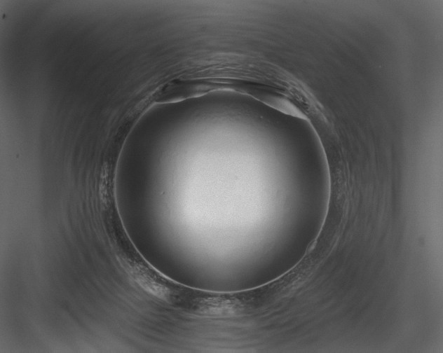 X0000084550073200702231216