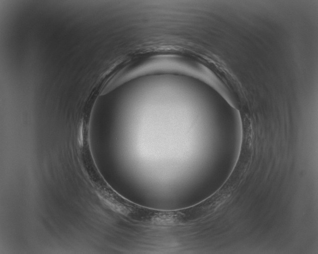 X0000084550076200702231216