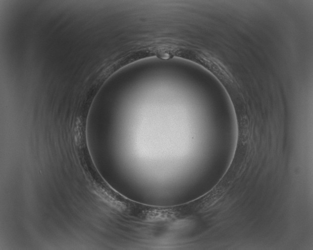 X0000084550077200702231216