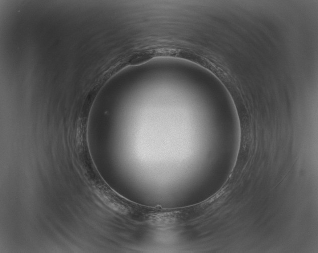 X0000084550078200702231216