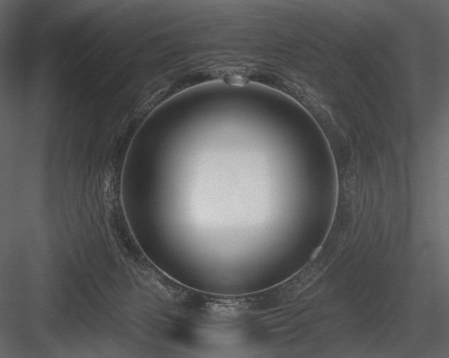 X0000084550079200702231216