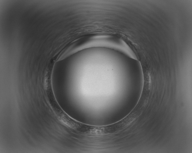 X0000084550080200702231216