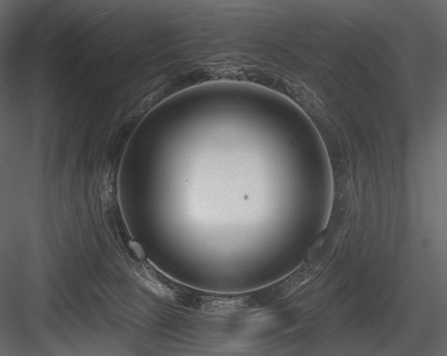X0000084550081200702231216