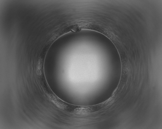 X0000084550082200702231216