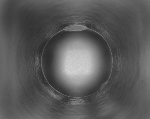 X0000084550087200702231217
