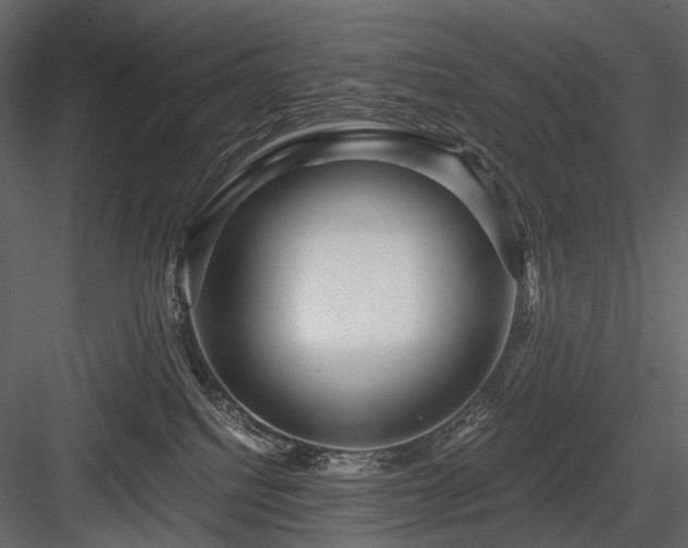 X0000084550088200702231217