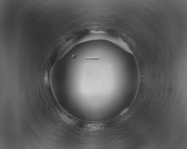 X0000084550089200702231217
