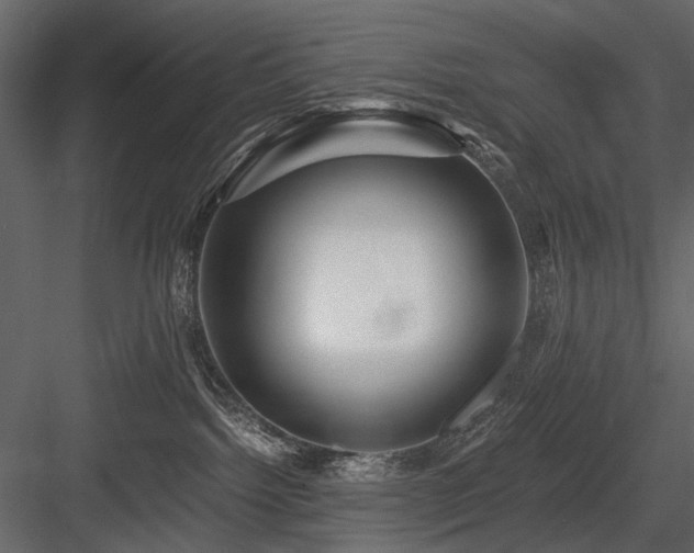 X0000084550092200702231217