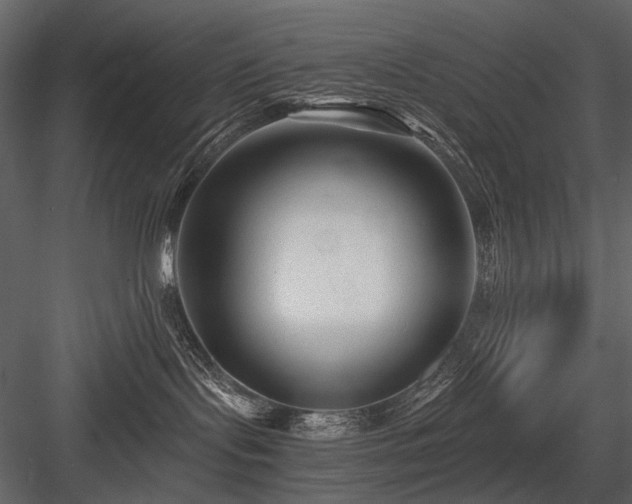 X0000084550095200702231217