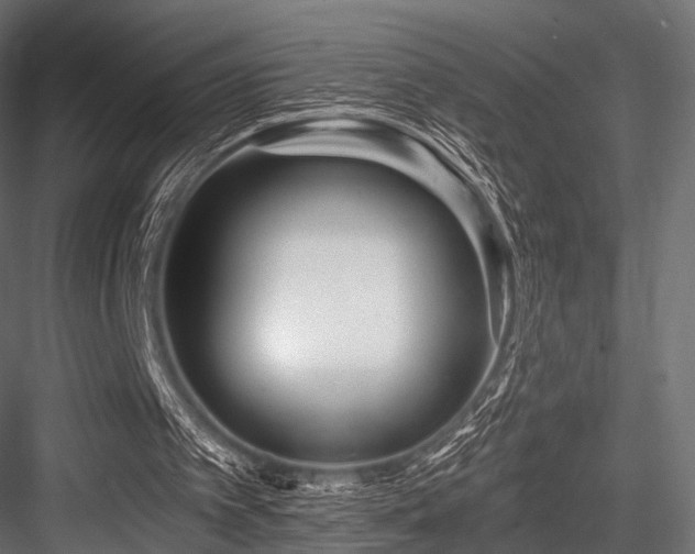 X0000084550097200702231216