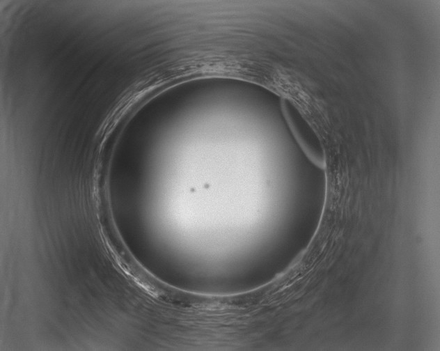 X0000084550098200702231216