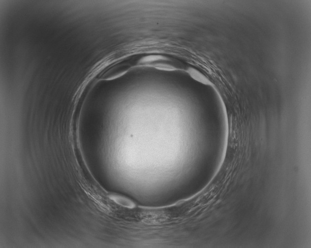 X0000084550099200702231216