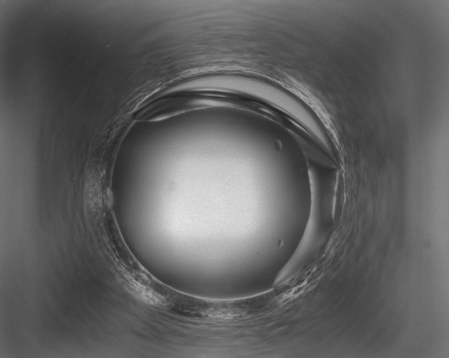 X0000084550105200702231216