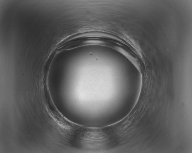 X0000084550107200702231216