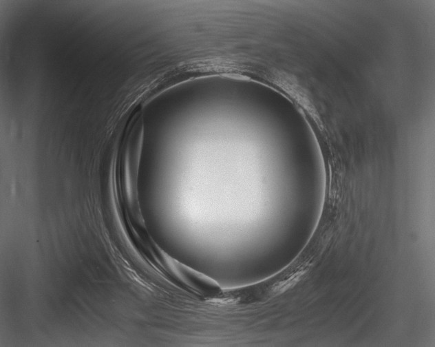 X0000084550109200702231216