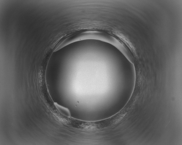 X0000084550113200702231216