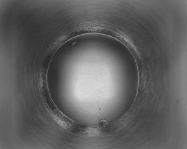 X0000084550114200702231216