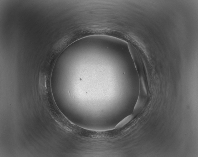 X0000084550115200702231216