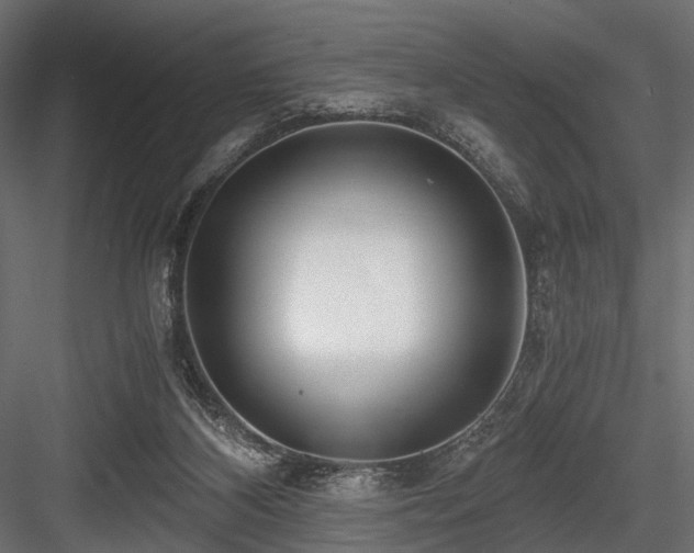 X0000084550116200702231216